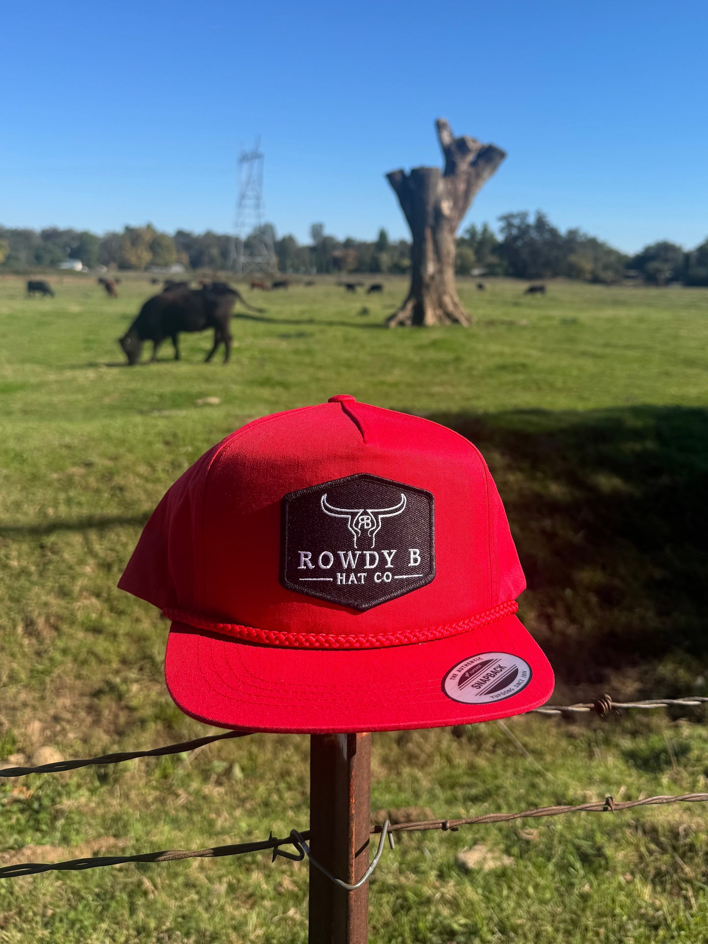 Simplicity Roped Cherry Red/Black